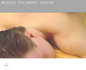 Masażu Sycamore Spring