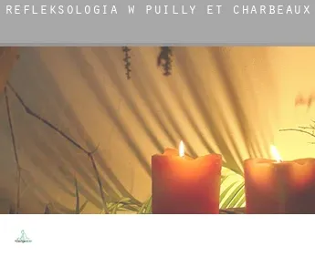 Refleksologia w  Puilly-et-Charbeaux