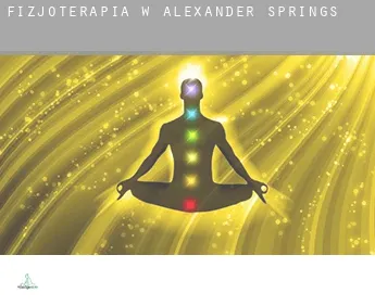 Fizjoterapia w  Alexander Springs