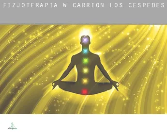 Fizjoterapia w  Carrión de los Céspedes