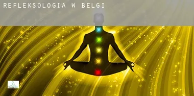 Refleksologia w Belgia