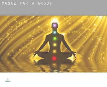 Masaż par w  Angus