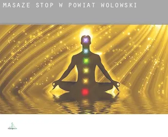 Masaże stóp w  Powiat wołowski