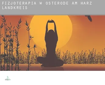 Fizjoterapia w  Osterode am Harz Landkreis