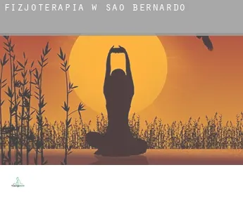 Fizjoterapia w  São Bernardo