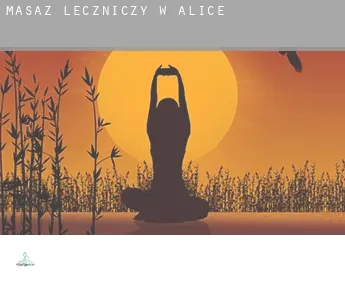 Masaż leczniczy w  Alice