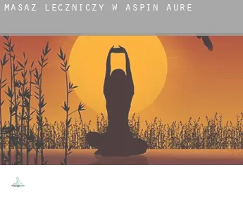 Masaż leczniczy w  Aspin-Aure