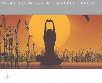 Masaż leczniczy w  Cherokee Forest