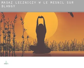 Masaż leczniczy w  Le Mesnil-sur-Blangy