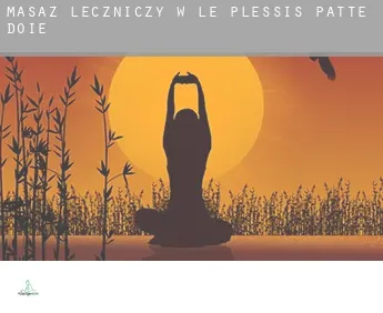 Masaż leczniczy w  Le Plessis-Patte-d'Oie