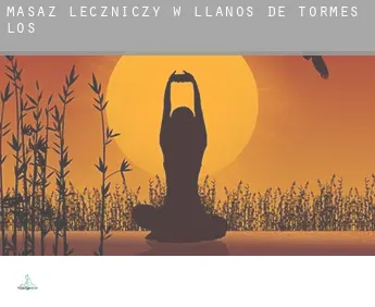 Masaż leczniczy w  Llanos de Tormes (Los)