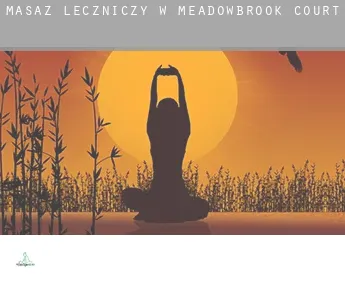 Masaż leczniczy w  Meadowbrook Court