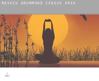 Masażu Drummond (census area)