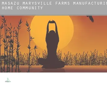 Masażu Marysville Farms Manufacturing Home Community