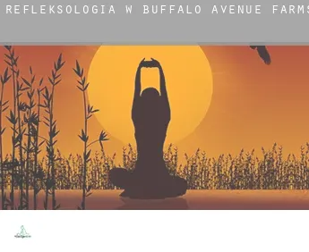 Refleksologia w  Buffalo Avenue Farms