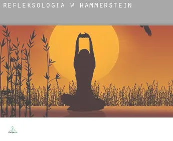 Refleksologia w  Hammerstein