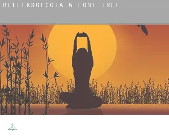 Refleksologia w  Lone Tree