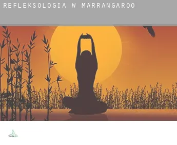 Refleksologia w  Marrangaroo