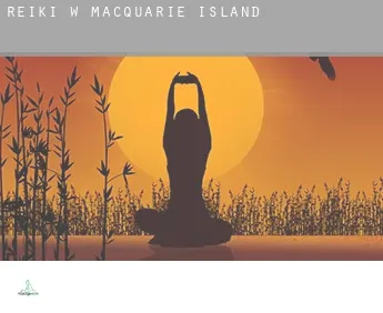 Reiki w  Macquarie Island