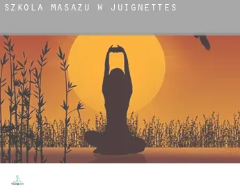 Szkoła masażu w  Juignettes