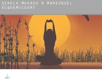 Szkoła masażu w  Maresquel-Ecquemicourt