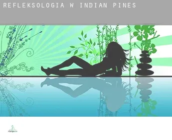 Refleksologia w  Indian Pines