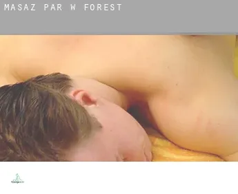 Masaż par w  Forest