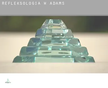 Refleksologia w  Adams