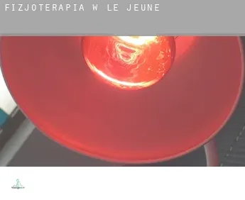 Fizjoterapia w  Le Jeune