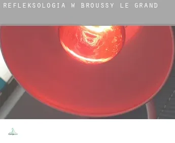 Refleksologia w  Broussy-le-Grand