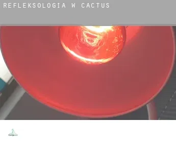 Refleksologia w  Cactus