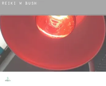 Reiki w  Bush