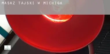 Masaż tajski w Michigan