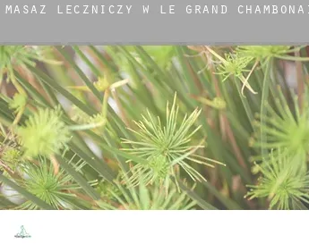 Masaż leczniczy w  Le Grand-Chambonais