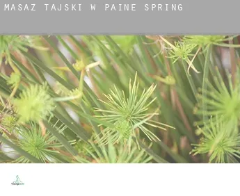 Masaż tajski w  Paine Spring