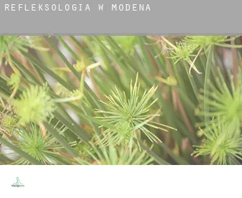 Refleksologia w  Modena