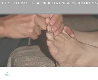 Fizjoterapia w  Mequinensa / Mequinenza