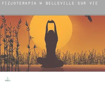 Fizjoterapia w  Belleville-sur-Vie