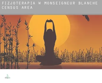 Fizjoterapia w  Monseigneur-Blanche (census area)