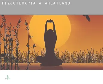 Fizjoterapia w  Wheatland