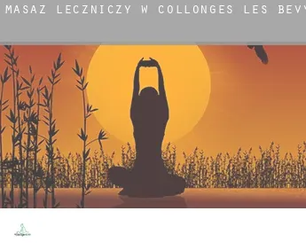 Masaż leczniczy w  Collonges-lès-Bévy