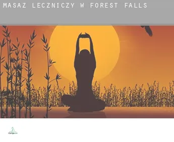 Masaż leczniczy w  Forest Falls