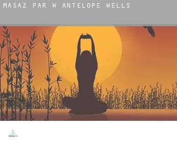 Masaż par w  Antelope Wells