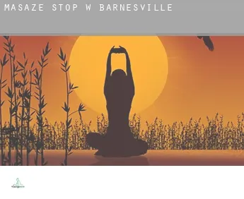 Masaże stóp w  Barnesville