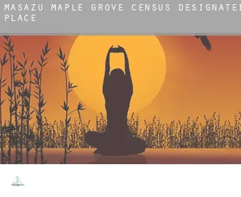 Masażu Maple Grove