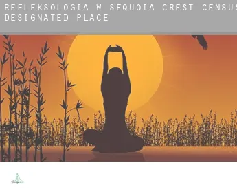Refleksologia w  Sequoia Crest