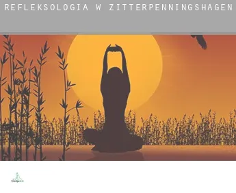 Refleksologia w  Zitterpenningshagen