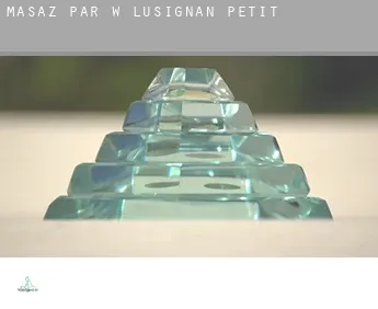 Masaż par w  Lusignan-Petit