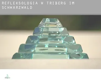 Refleksologia w  Triberg im Schwarzwald