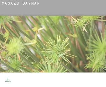 Masażu Daymar